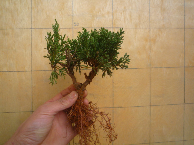 P1070130.JPG