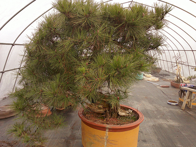 201212182104_.jpg