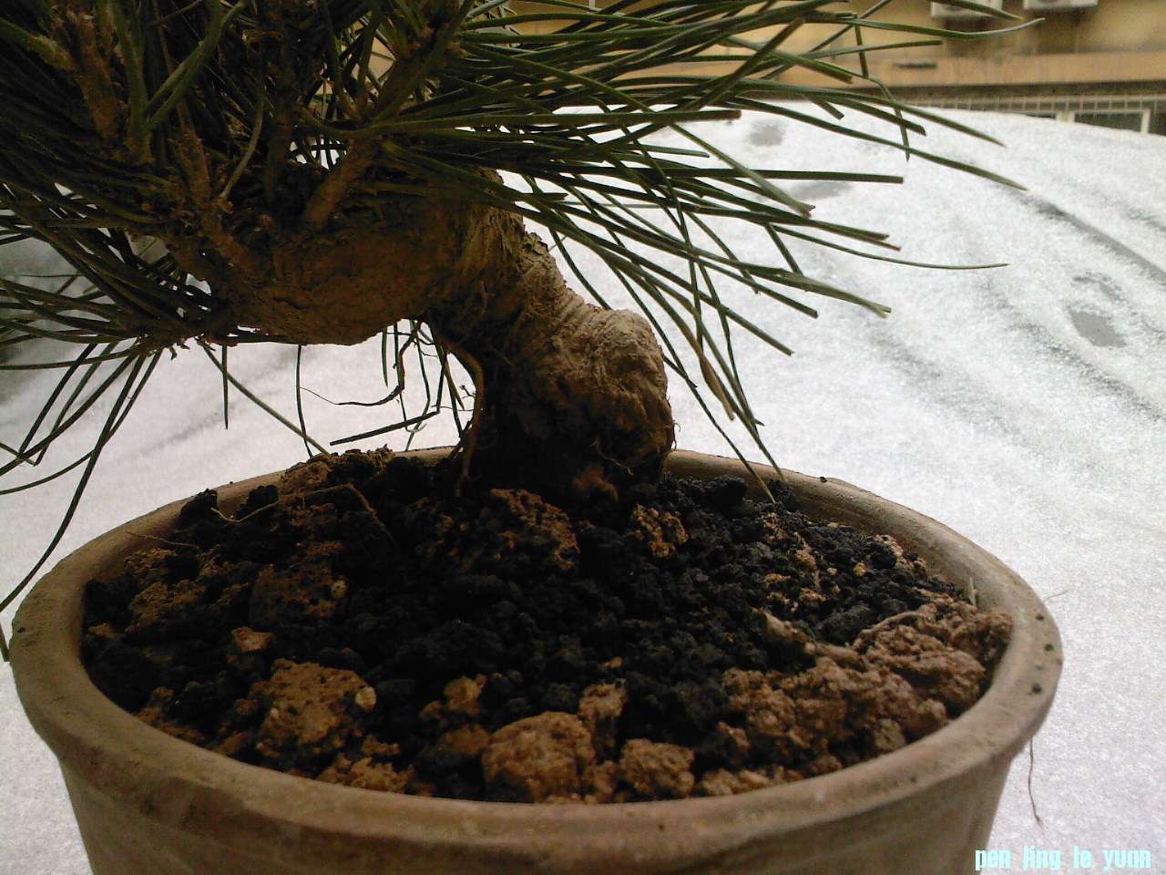 SP_A0930.jpg