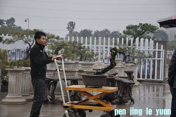 ҵ辰 026.jpg