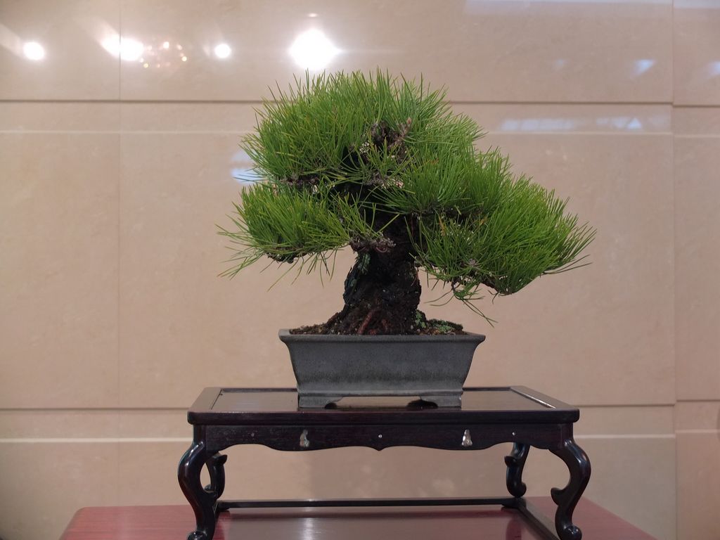 DSCF2845.jpg