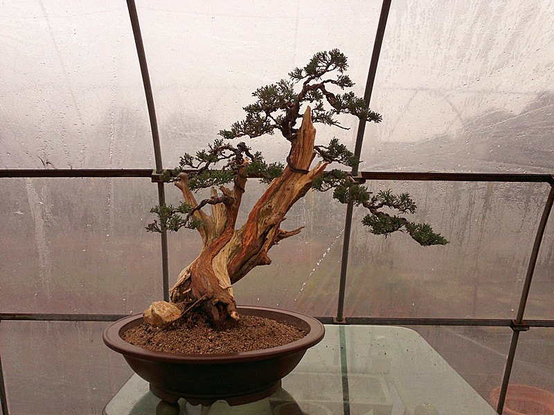 201212232126_.jpg