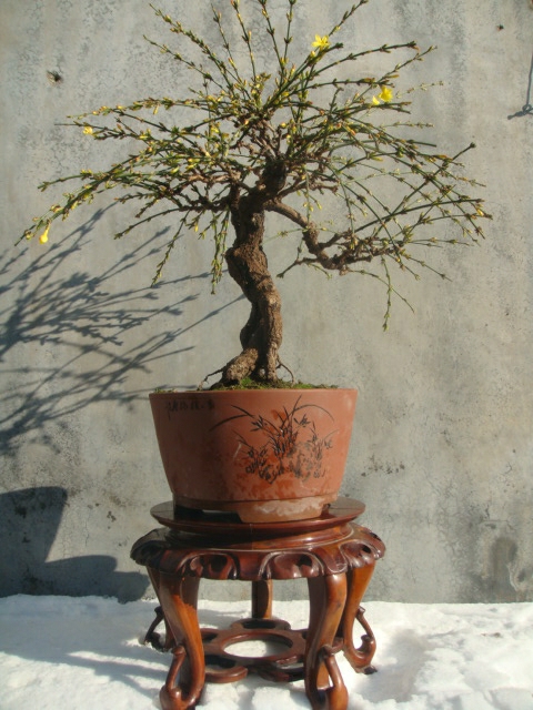 DSC02436.JPG