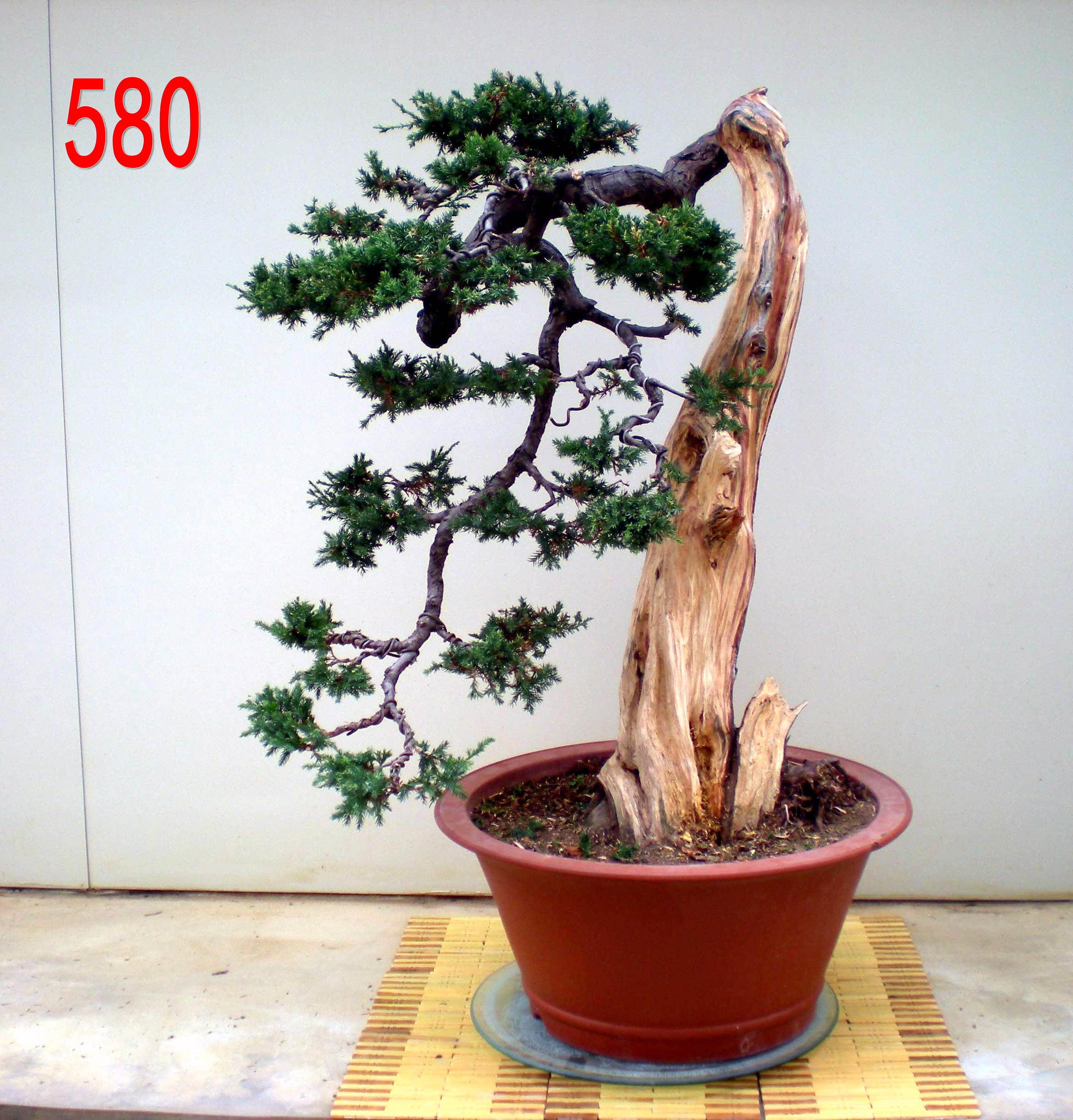 ơ  ذ  8760  .jpg