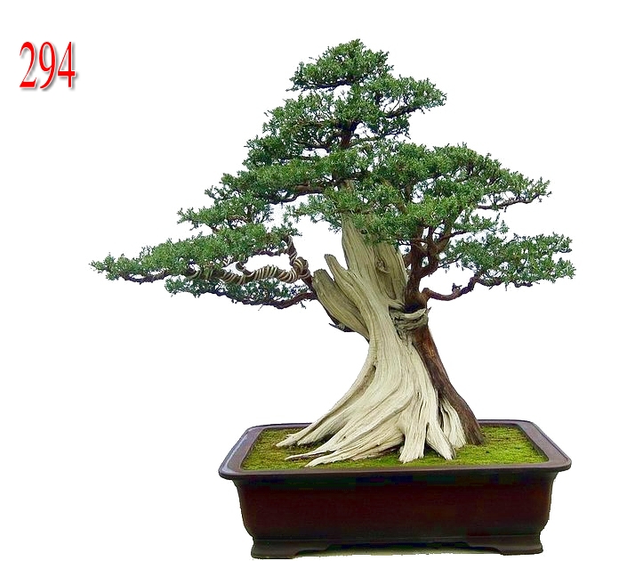 ̰   120CM.jpg