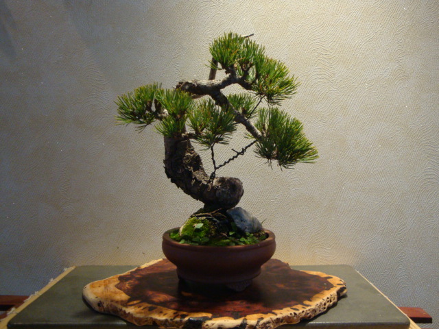 DSC01605.JPG