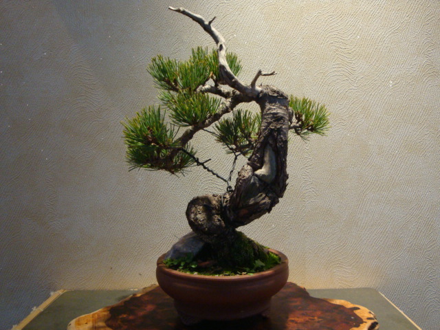 DSC01606.JPG