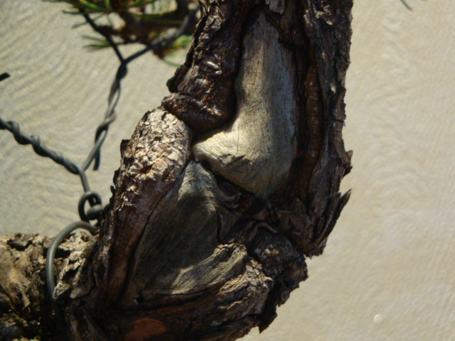 DSC01607.JPG