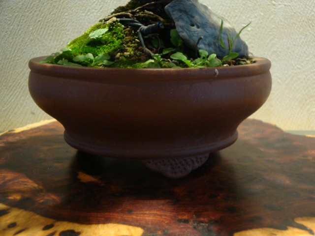 DSC01610.JPG