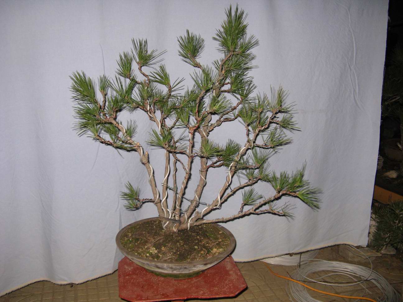 Ƭ 009.jpg