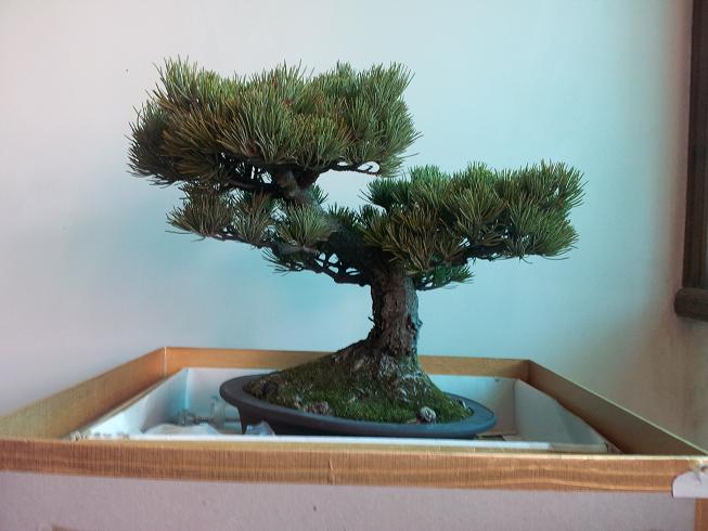 20130101_142147.jpg