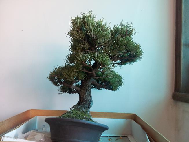 20130101_142200.jpg