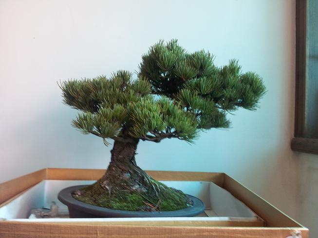 20130101_142211.jpg