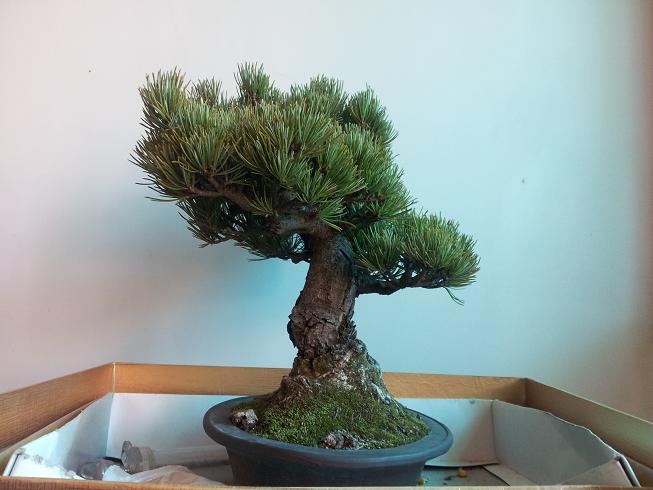 20130101_142220.jpg