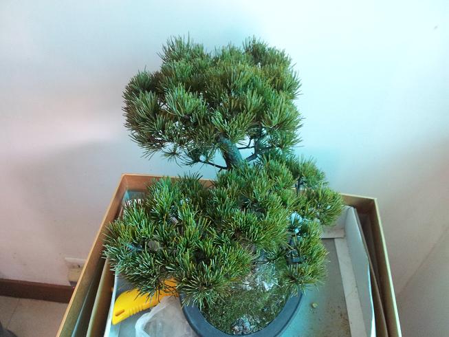 20130101_142231.jpg