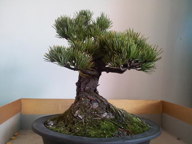 20130101_154309.jpg