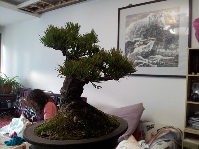 20130101_165447.jpg