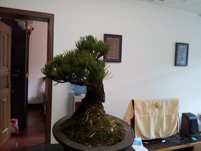 20130101_165459.jpg