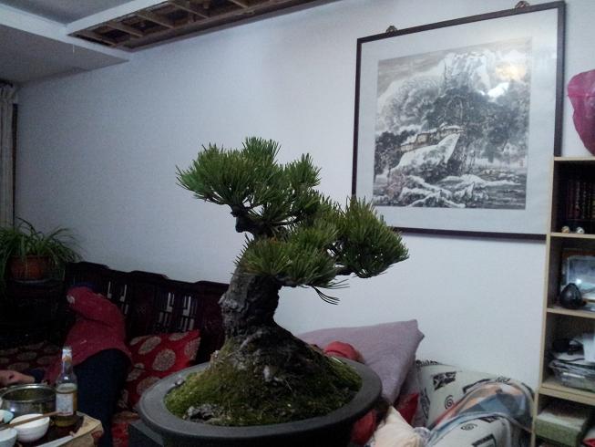 20130101_194155.jpg