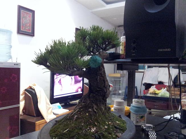 20130101_200820.jpg