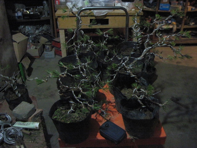 130104 001.jpg