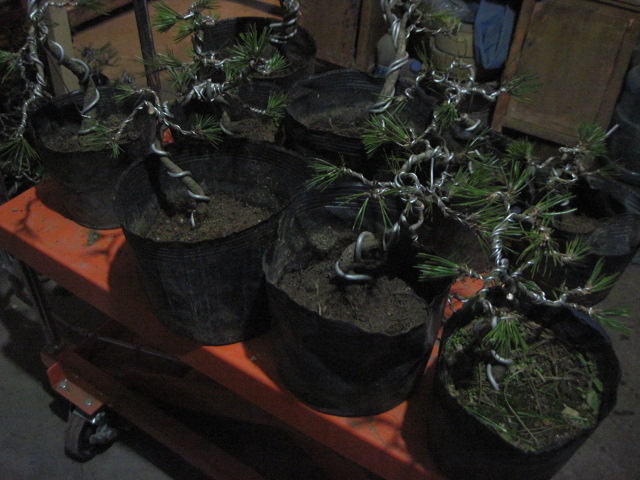 130104 007.jpg