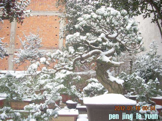 С DSCN0056.JPG