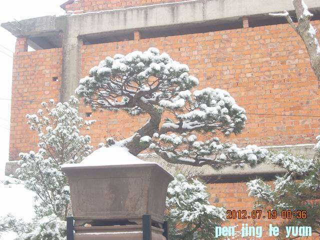 С DSCN0063.JPG