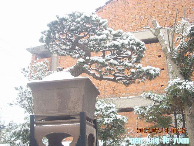 С DSCN0067.JPG