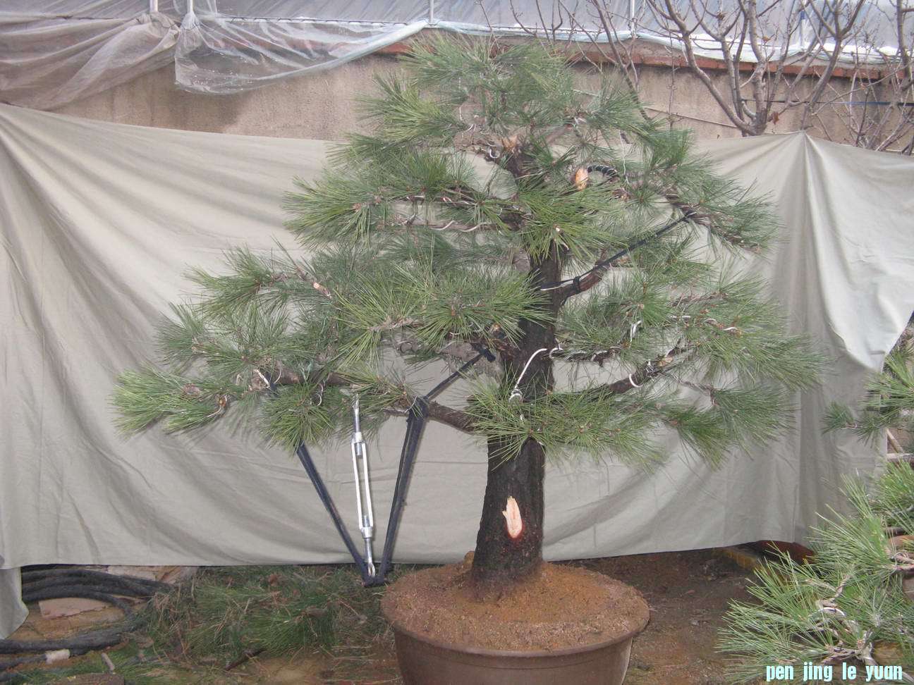 Ƭ 032.jpg