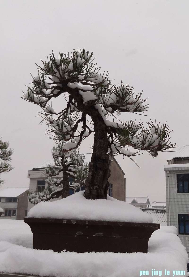 06.jpg
