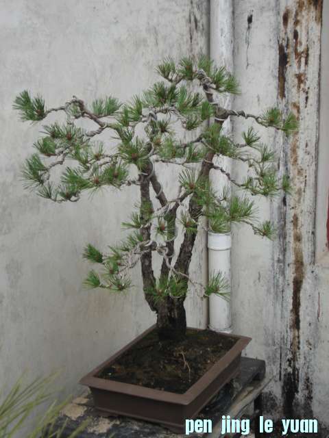 DSC00102.JPG