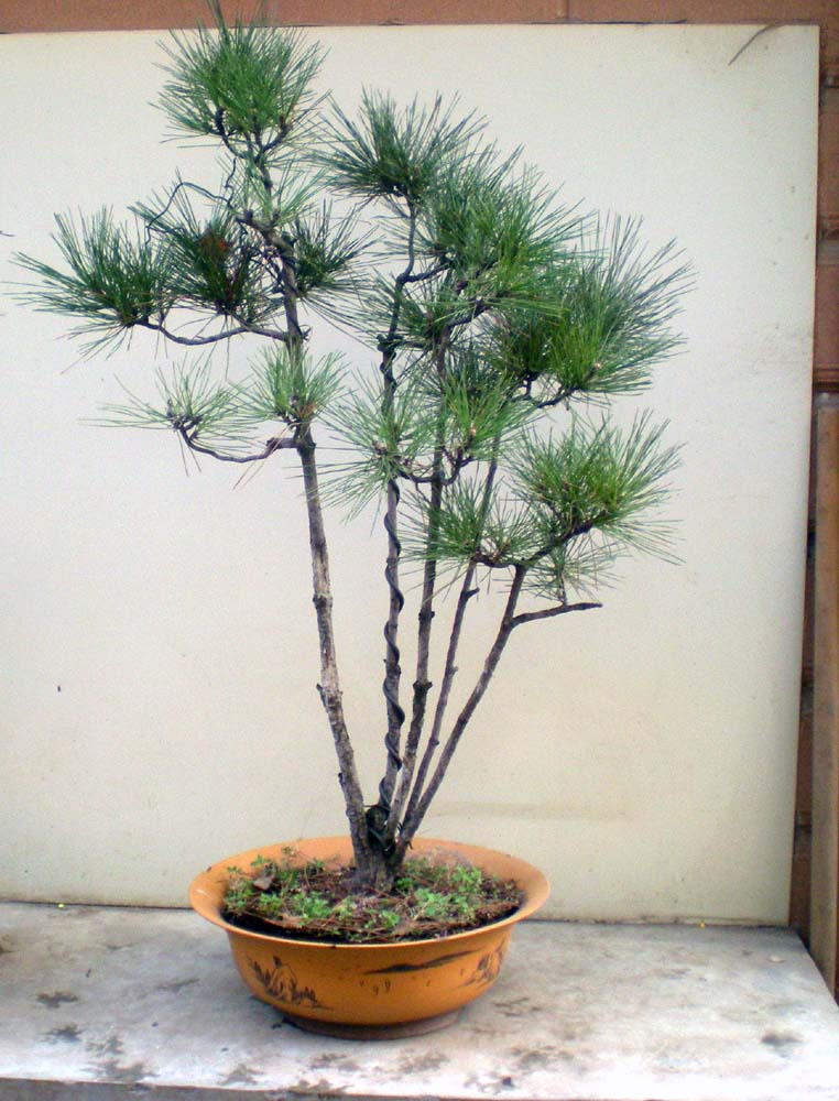 DSCN4078.JPG