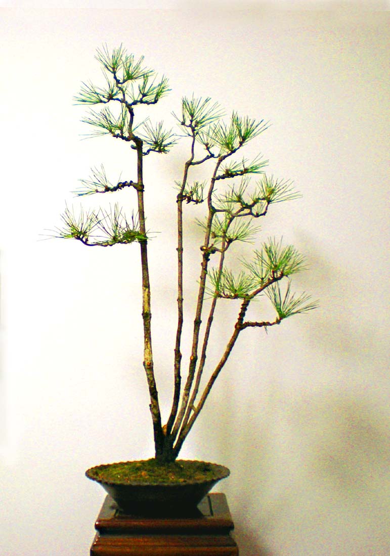 DSCN4091 .jpg