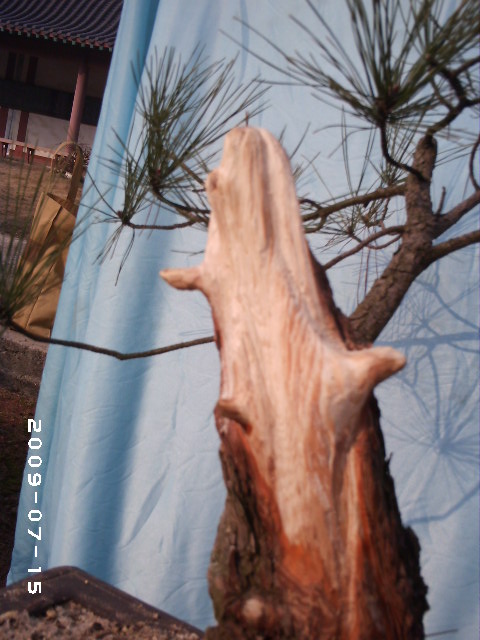 PHOT0100.JPG