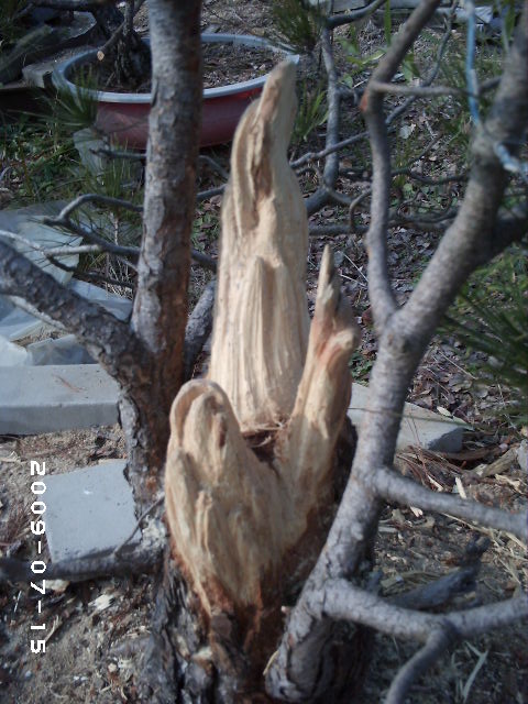 PHOT0109.JPG