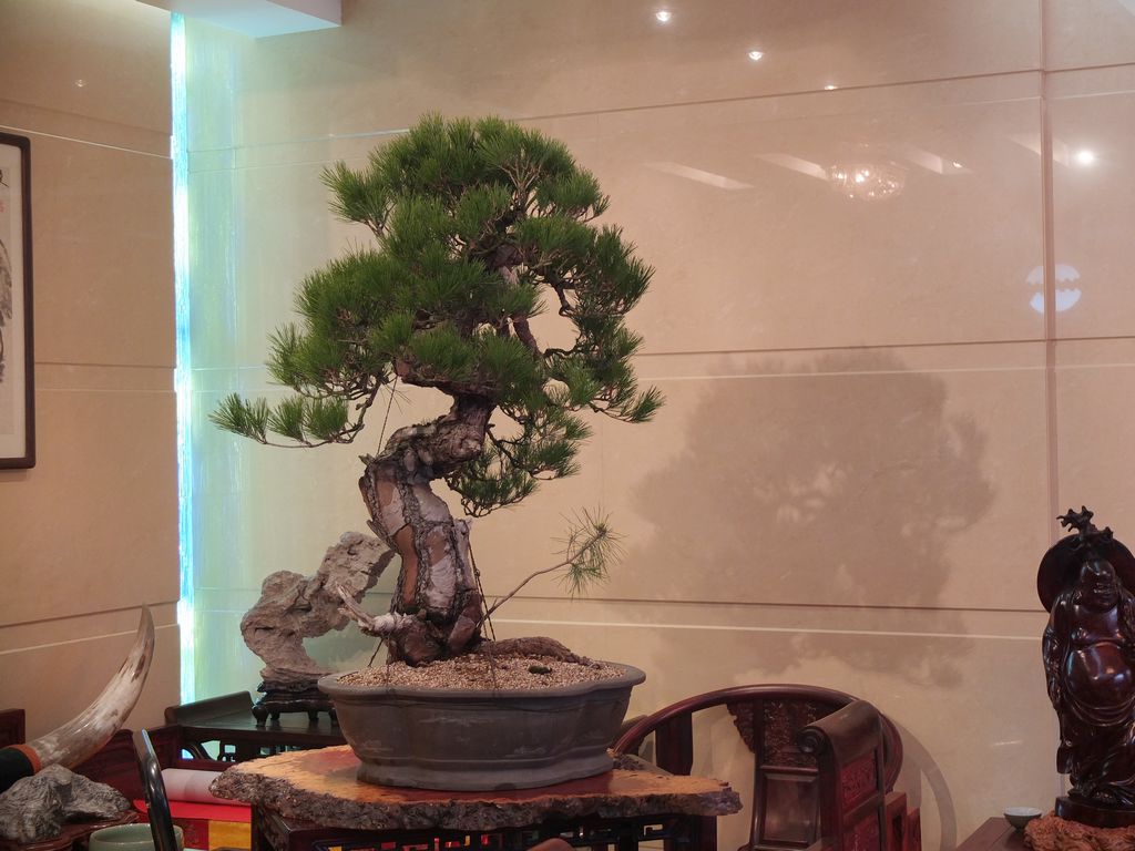 DSCF7285.jpg