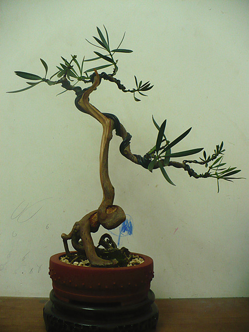 P1040040_.jpg