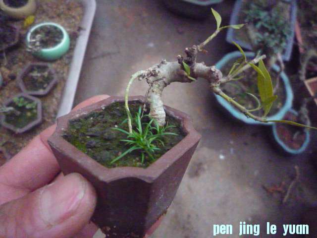 P1070574.JPG