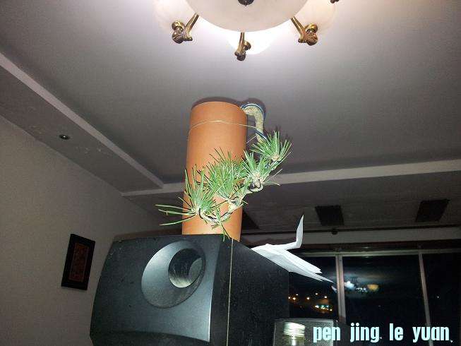 20130114_214457.jpg