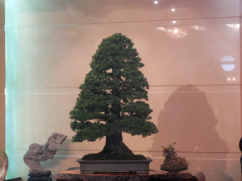 DSCF8146.jpg