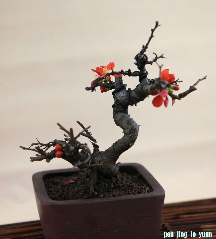 12011503-1.jpg