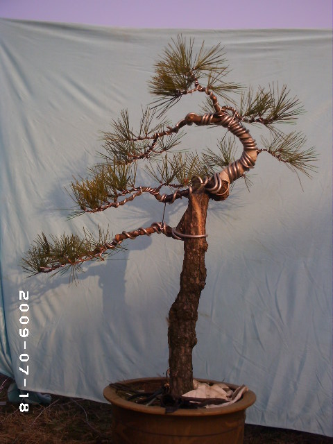 PHOT0123.JPG