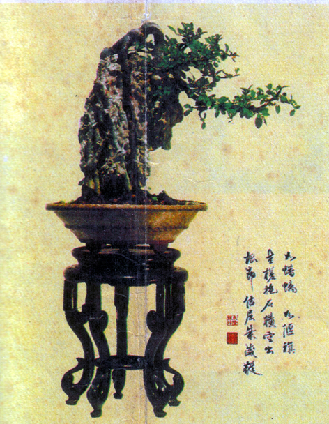   ʯ5.jpg