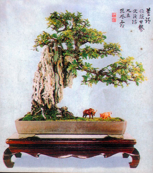  ʯ8.jpg
