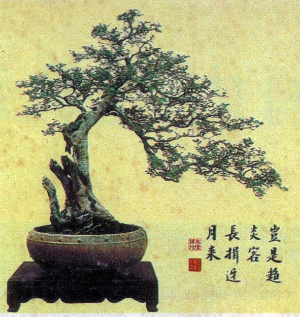 辰5.jpg