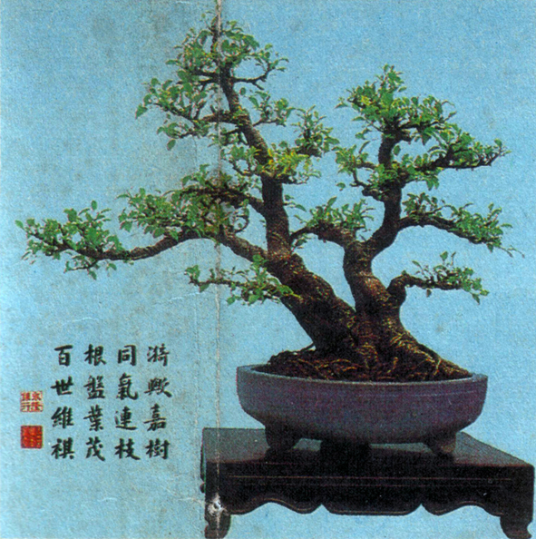 辰3.jpg