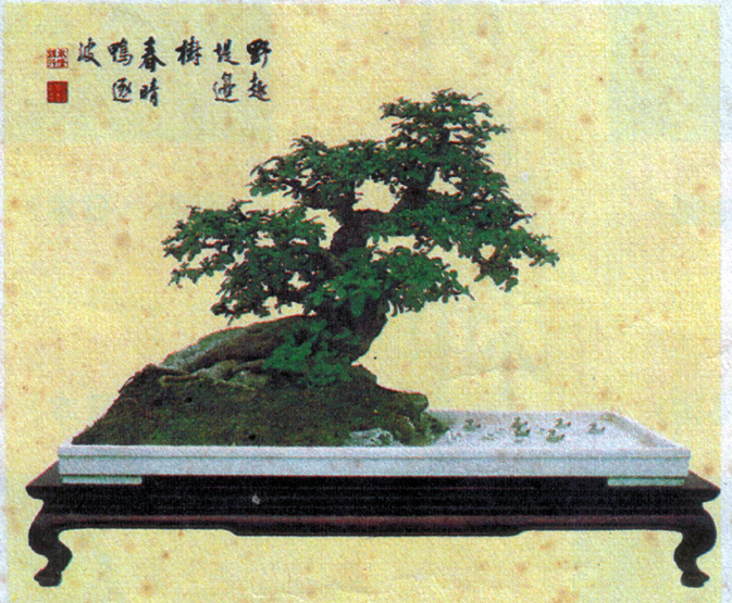 辰4.jpg