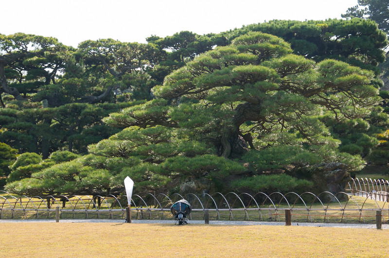 20111120-DSC_0042-L.jpg