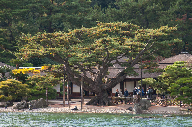 20111120-DSC_0158-L.jpg